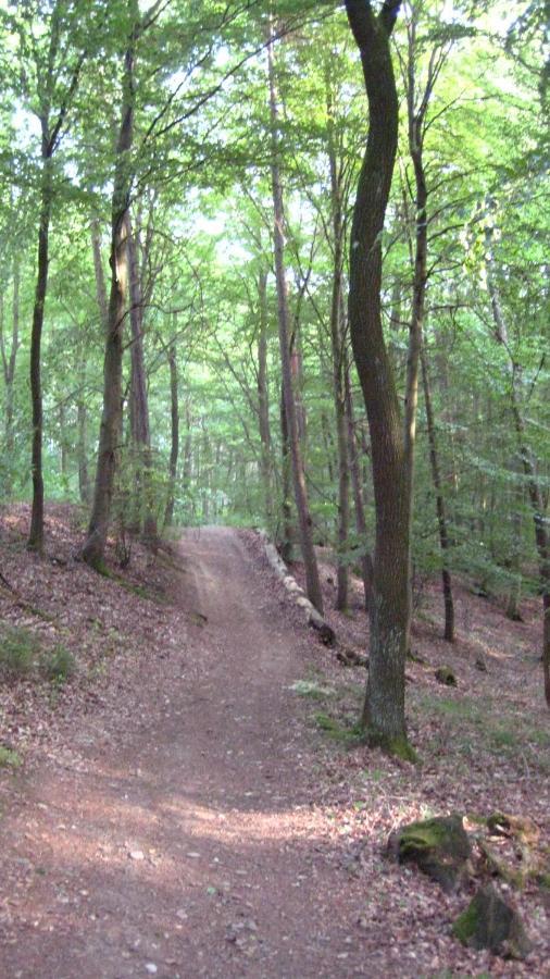 Gaestezimmer Waldblick Wimbach Ngoại thất bức ảnh
